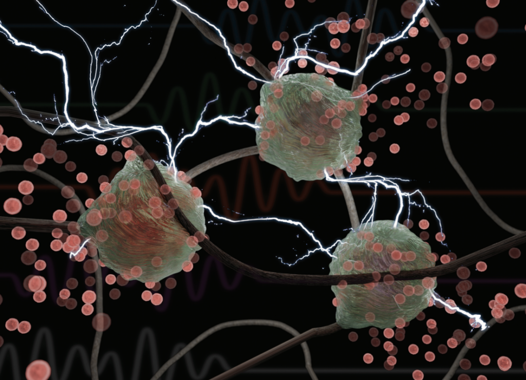 20241007 sevreactorscaffold 1